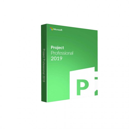 MICROSOFT PROJECT 2019 BOX-100